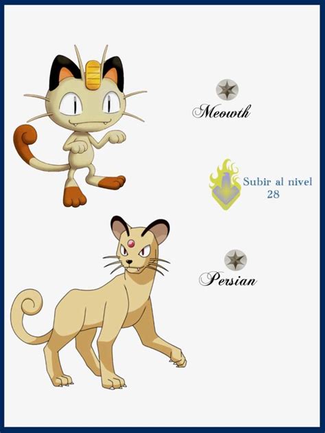 pokemon meowth evolution.